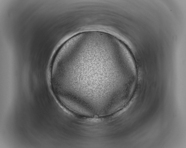 X0000112361517200908271243