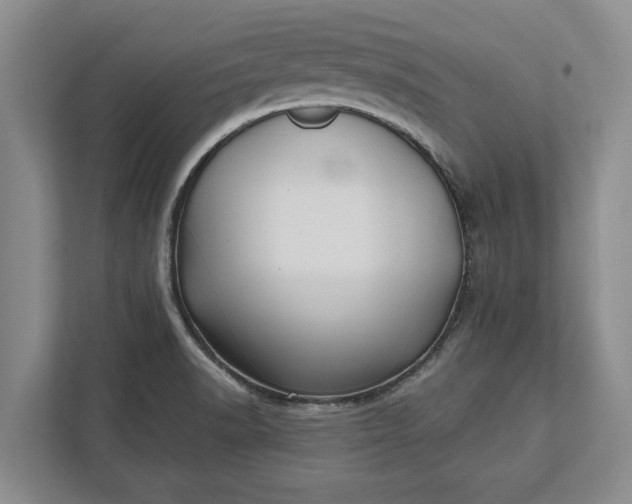 X0000112361518200908271243