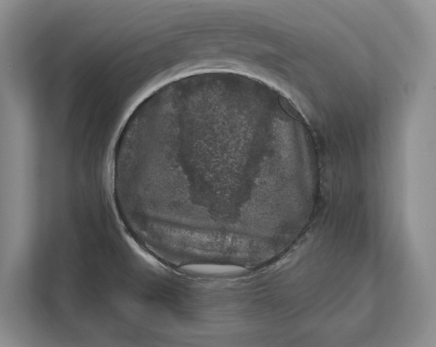 X0000112361519200908271243