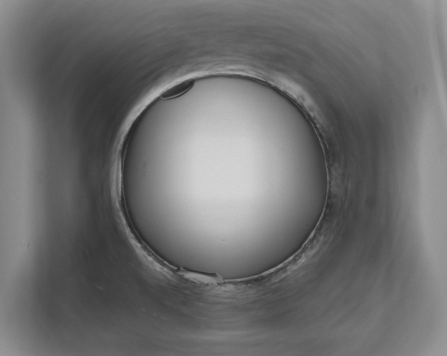 X0000112361520200908271243