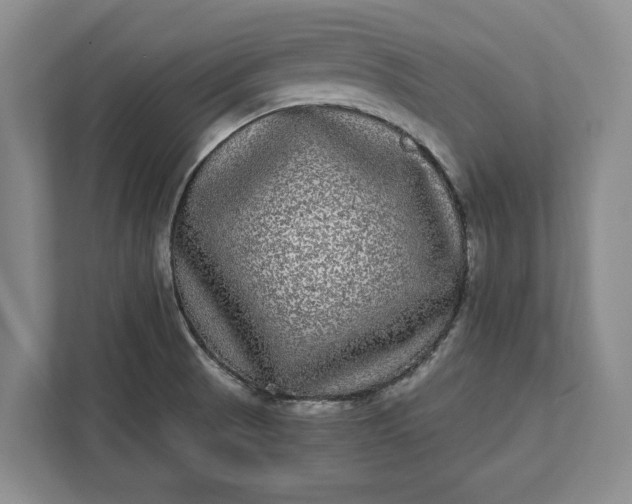 X0000112361521200908271243