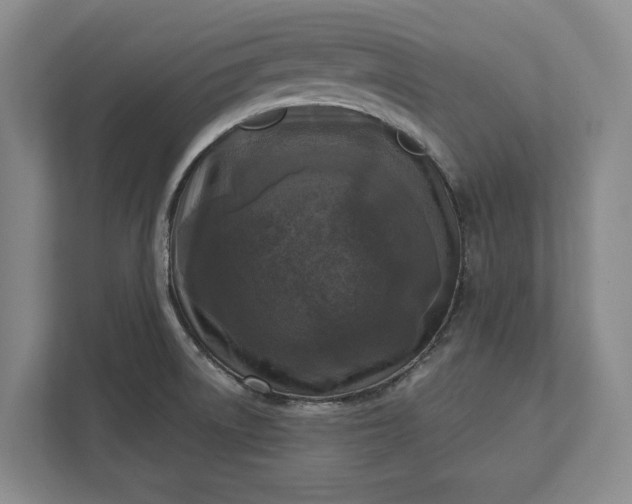 X0000112361522200908271243