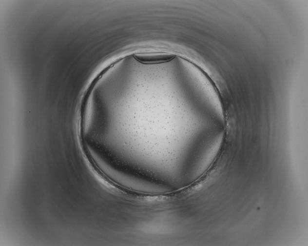 X0000112361523200908271243