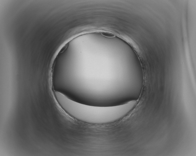 X0000112361524200908271243