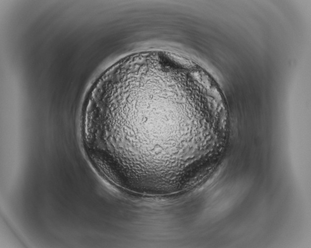 X0000112361525200908271243