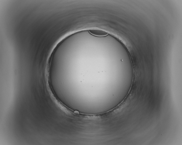 X0000112361526200908271243