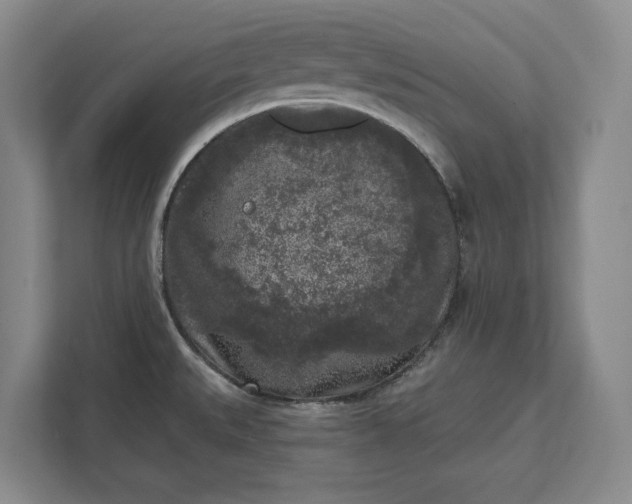 X0000112361527200908271243