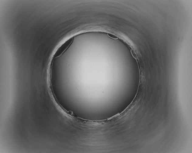 X0000112361528200908271243