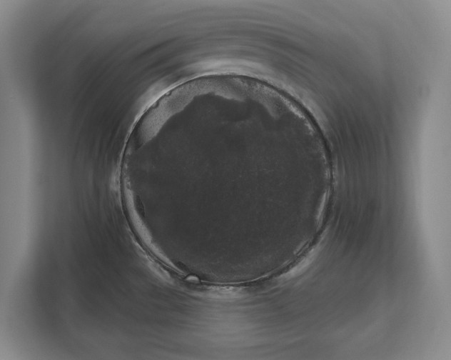 X0000112361529200908271243