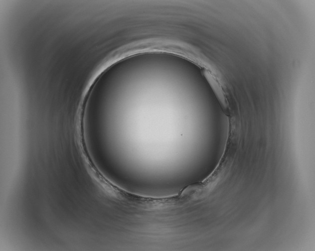 X0000112361530200908271243