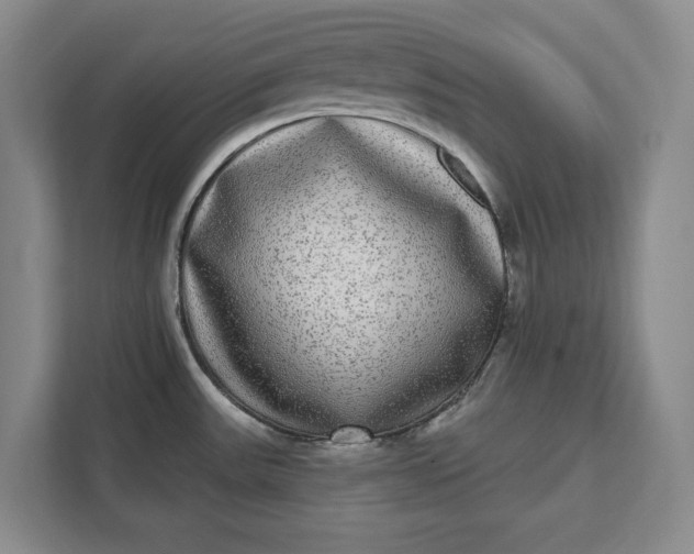 X0000112361531200908271243