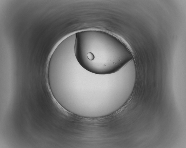 X0000112361532200908271243