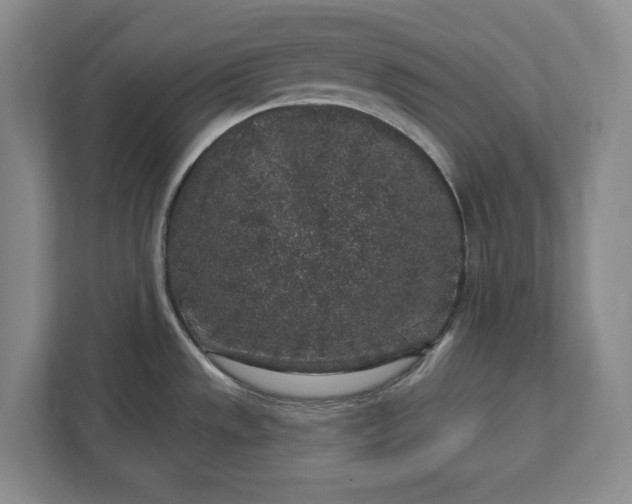 X0000112361533200908271243