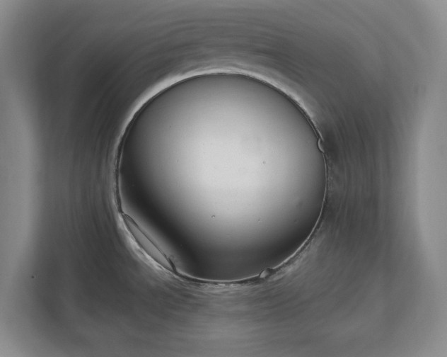 X0000112361534200908271243