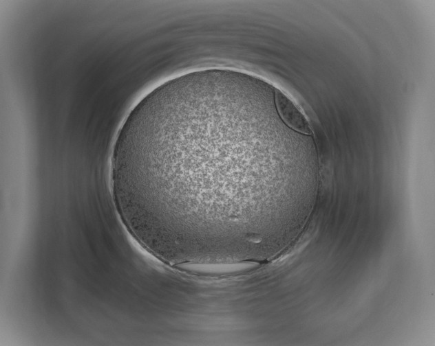 X0000112361535200908271243