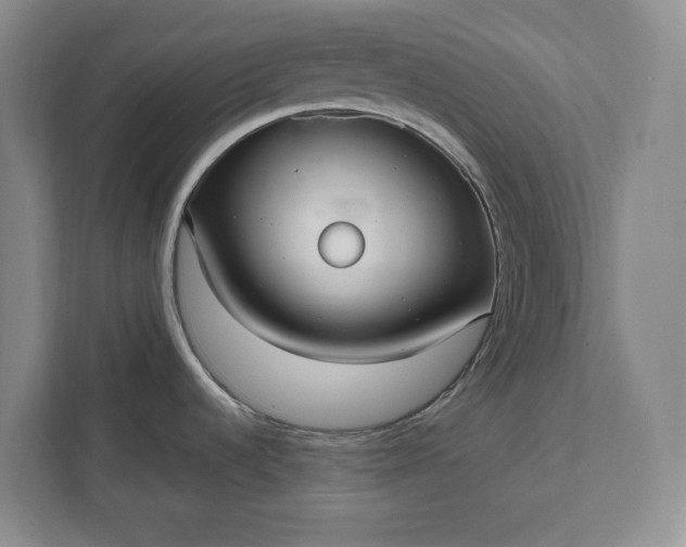 X0000112361536200908271243