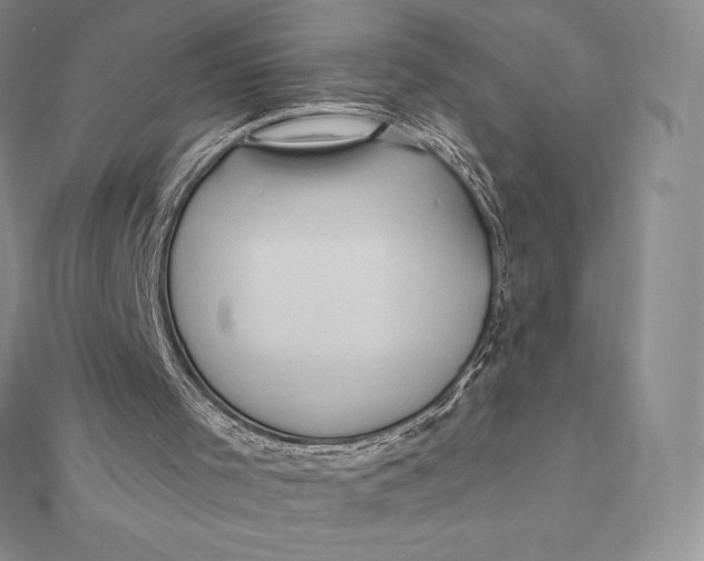 X0000112360001200909031920
