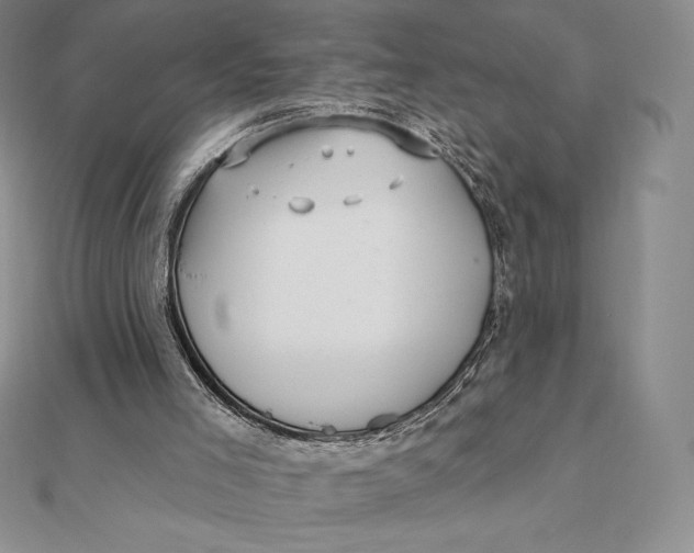 X0000112360005200909031920