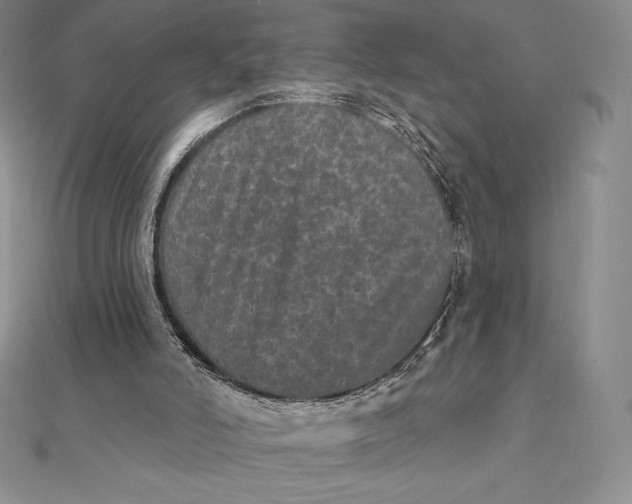 X0000112360006200909031920