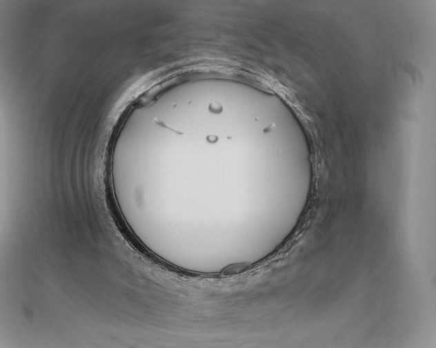 X0000112360007200909031920