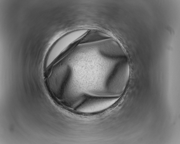 X0000112360008200909031920