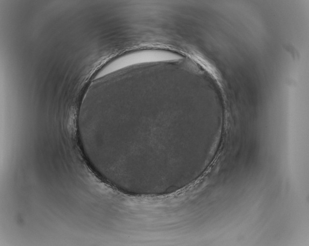 X0000112360009200909031920