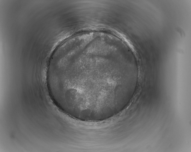 X0000112360010200909031920
