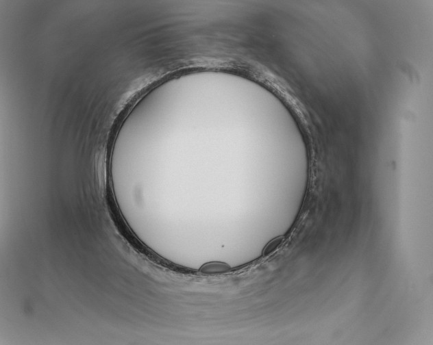 X0000112360011200909031920