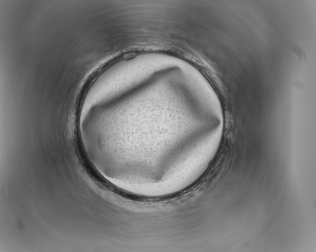 X0000112360012200909031920