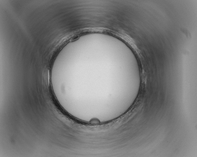 X0000112360013200909031920
