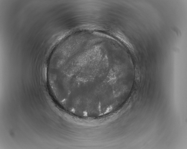 X0000112360014200909031920