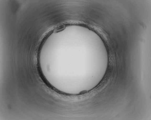 X0000112360015200909031920