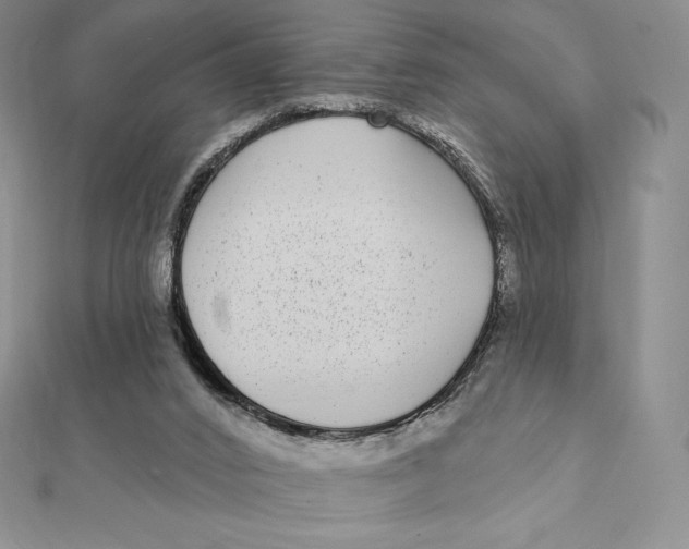 X0000112360016200909031920