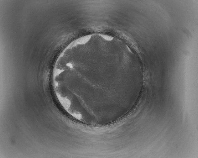 X0000112360018200909031920