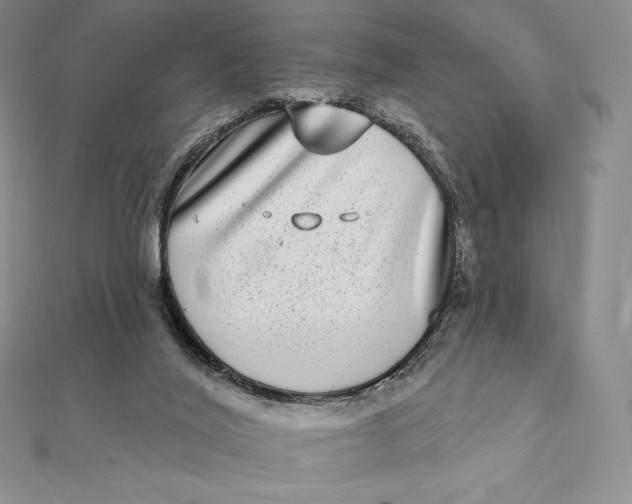 X0000112360020200909031920