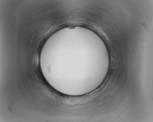 X0000112360021200909031920