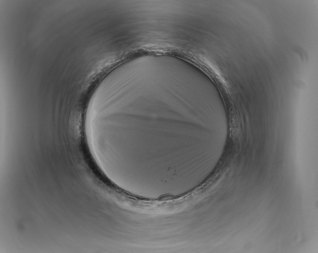 X0000112360023200909031920