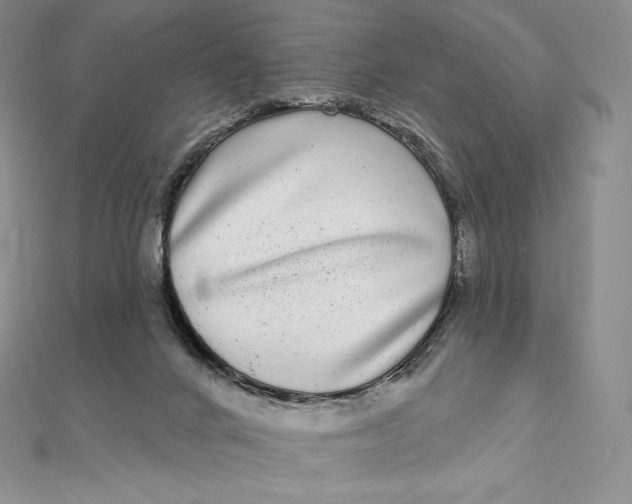 X0000112360024200909031919