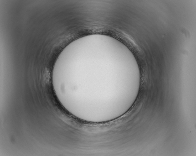 X0000112360025200909031919