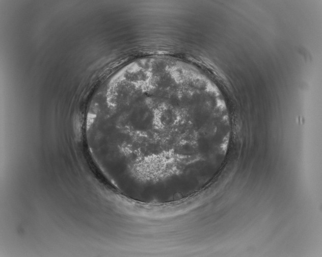 X0000112360026200909031919