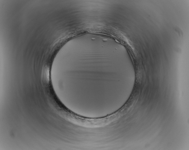 X0000112360027200909031919