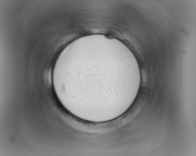 X0000112360028200909031919