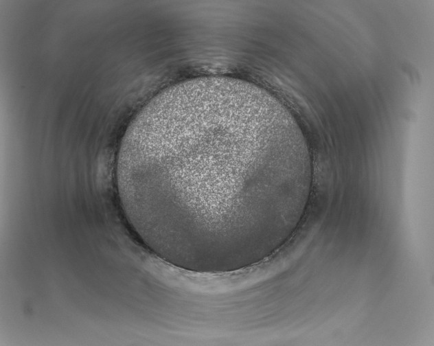 X0000112360030200909031919