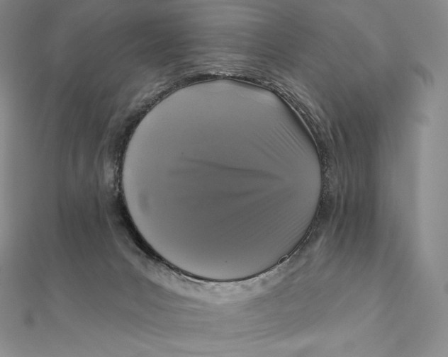 X0000112360031200909031919