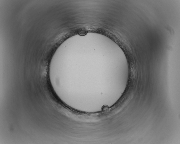 X0000112360032200909031919