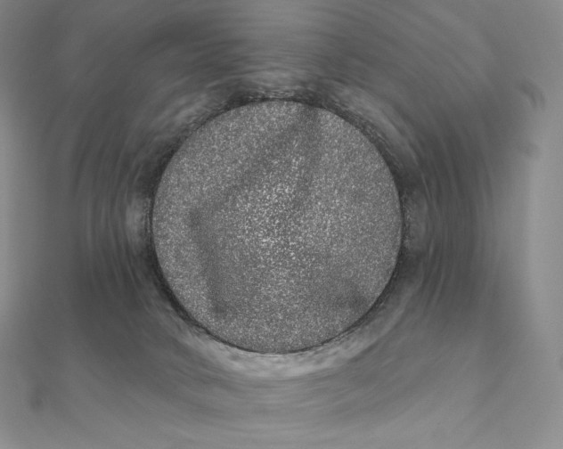 X0000112360034200909031919