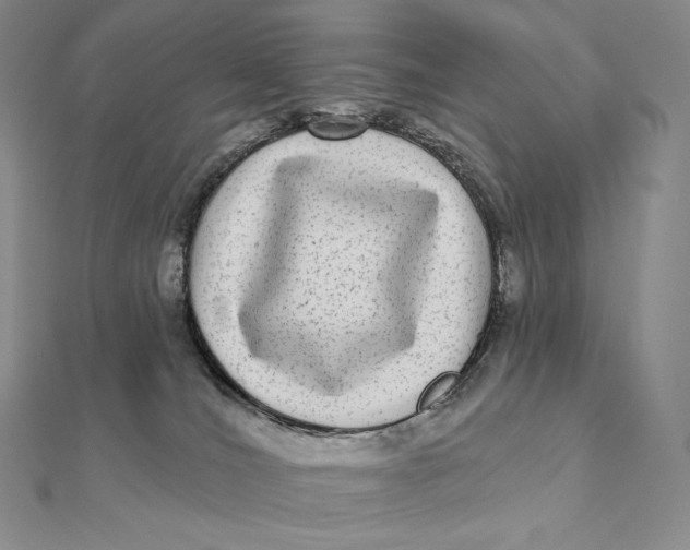 X0000112360036200909031919