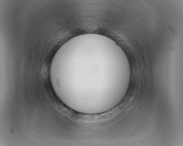 X0000112360037200909031919