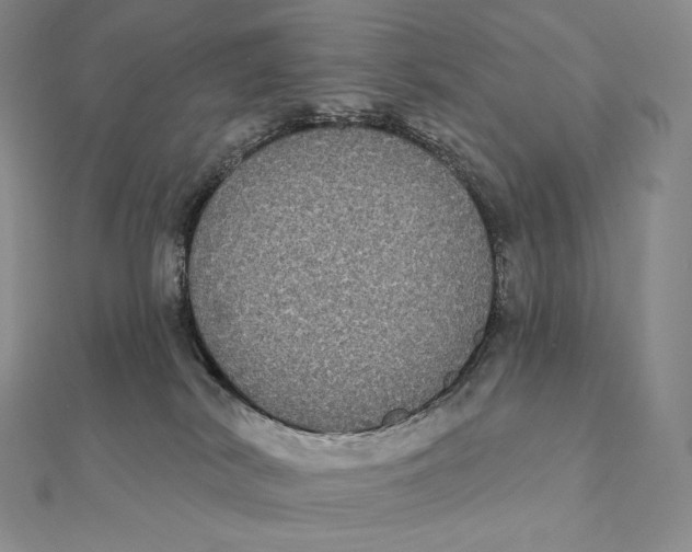 X0000112360038200909031919