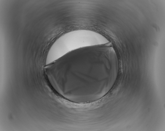 X0000112360039200909031919